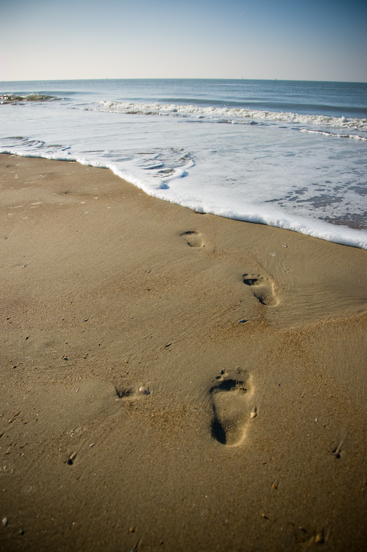 sandprints