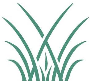 Logo grass onlyforweb