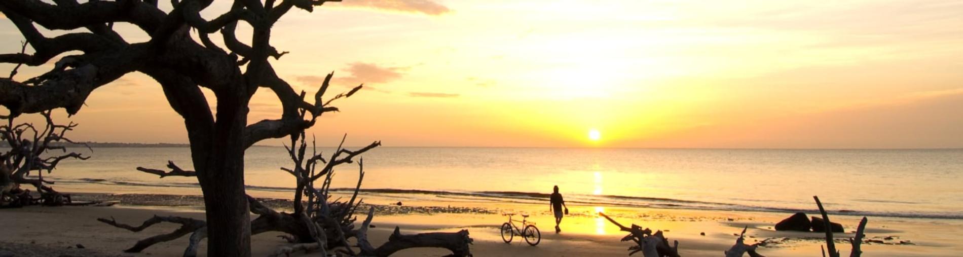 Sunset over calm beach with driftwood silhouettes.