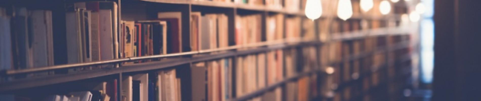 Bookshelf lined with books under warm hanging lights.