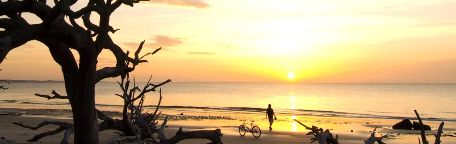 Sunset over calm beach with driftwood silhouettes.